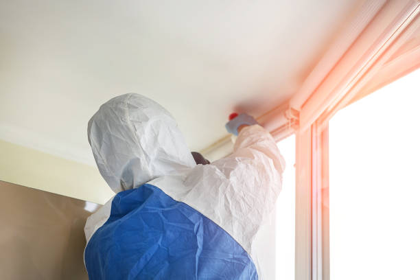 Best Mold Removal for HVAC Installations in Reminderville, OH