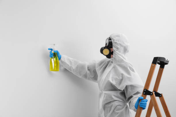 Trusted Reminderville, OH Mold Removal Experts