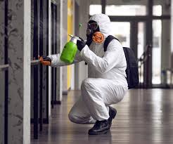 Best Environmental Consulting for Mold Prevention in Reminderville, OH